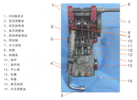 菜籽免蒸液壓榨油機 菜籽免蒸液壓榨油機